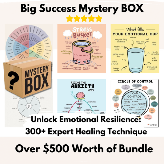 BBig Mystery Box